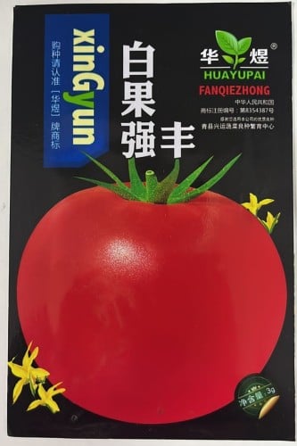 بذور طماطم كيانفنج Qianfeng
