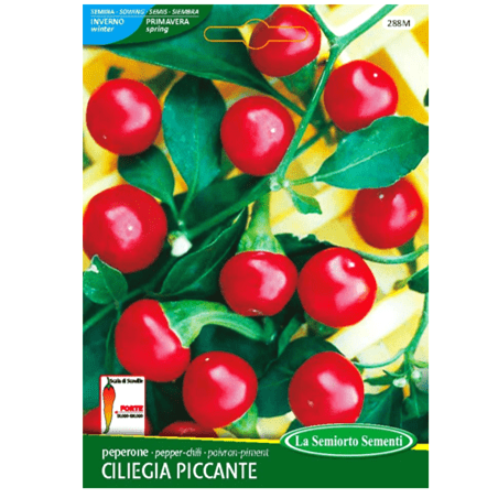 بذور فلفل كرزي أحمر