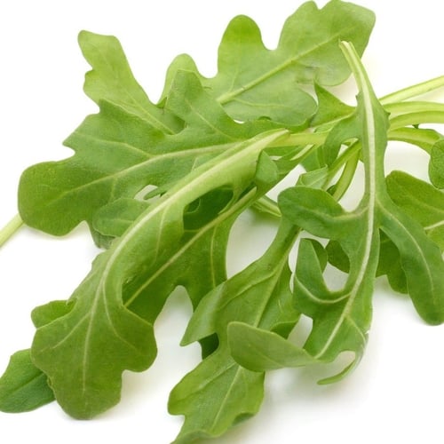 حديقة السلطة 5*1