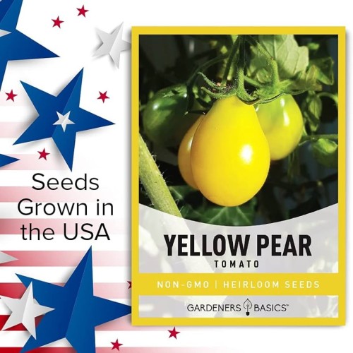 بذور طماطم الكمثرى الصفراء