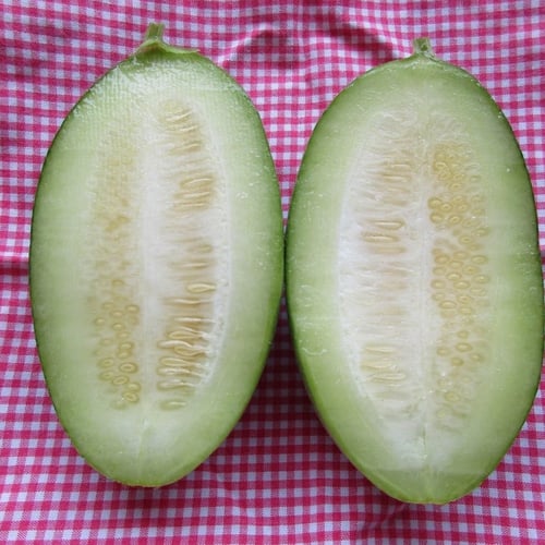 بذور خيار الكاروسيل النادر إرث إيطالي