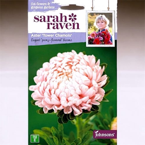 بذور ( برج الشمواه ) زهرة استر