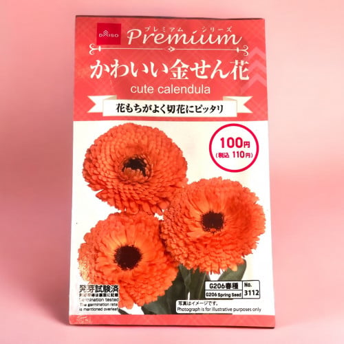 بذور زهرة اذريون برتقالية Calendula