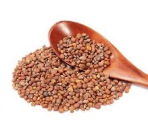 بذور الفجل الطبيعية 500جم