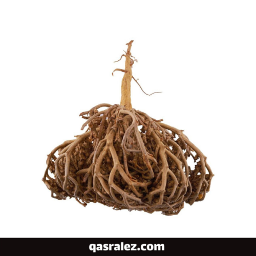 كف مريم 30 جرام