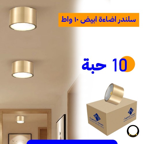 كشاف سلندر لطش إنارة أبيض 10 واط - سبوت لايت سقف 9...