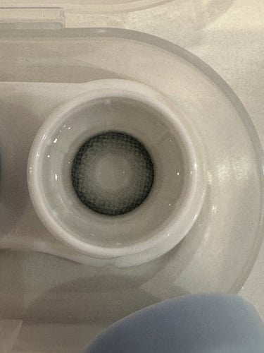 تايلور ايز زوج عدسات سنوية