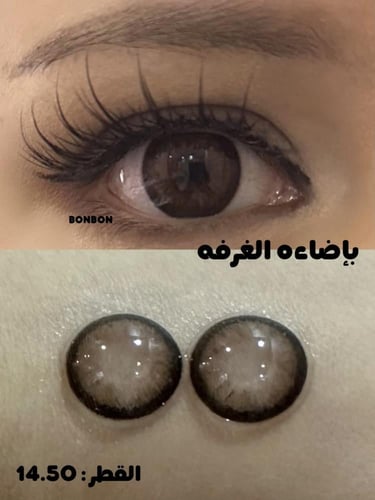 جنجر زوج عدسات سنوية