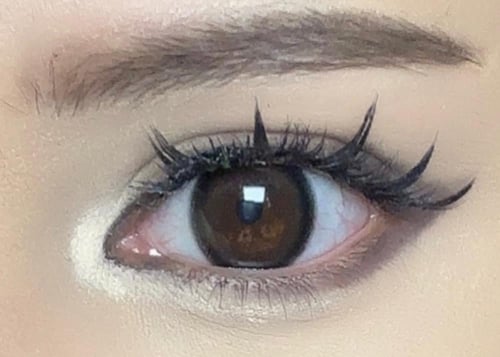 بلاك زوج عدسات سنوية