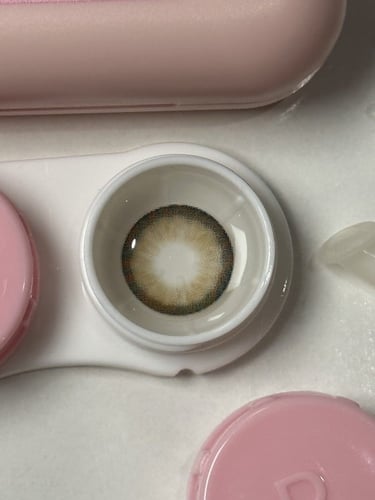 قلوسي زوج عدسات سنوية