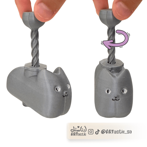 Oia cat