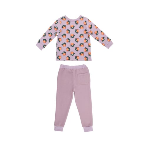 بلوزة اكمام طويلة و بنطلون ساده ليلكي