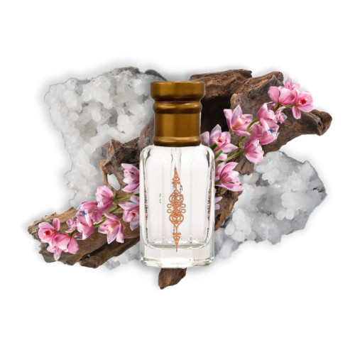 مسك الفرنسي نولة