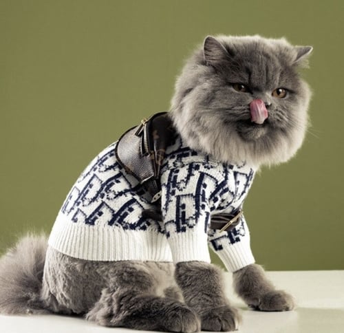 سترة ديور للكلاب و القطط