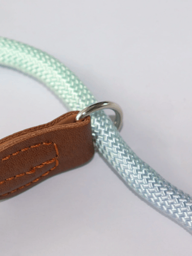 رباط للحيوانات الاليفة