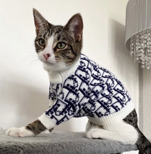 سترة ديور للكلاب و القطط