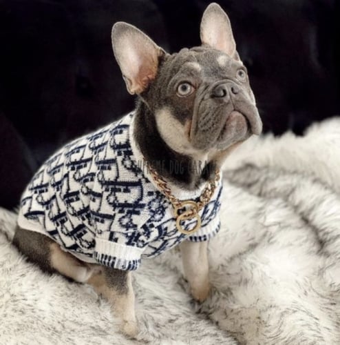 سترة ديور للكلاب و القطط