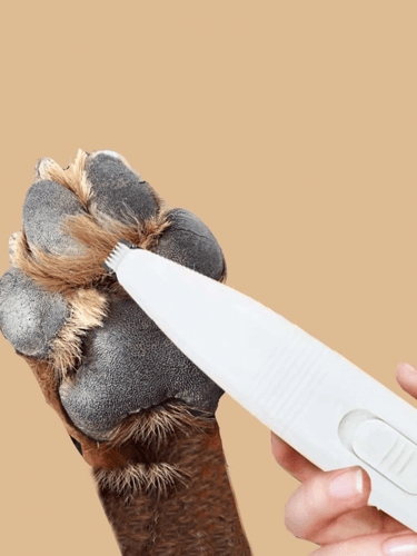 ماكينة حلاقة للمناطق الصغيرة للحيوانات الاليفة