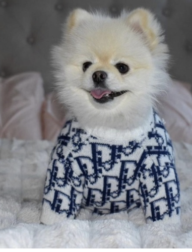 سترة ديور للكلاب و القطط