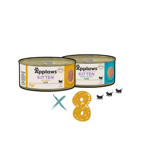 دلل قطتك الصغيرة مع طعام ابلاوز