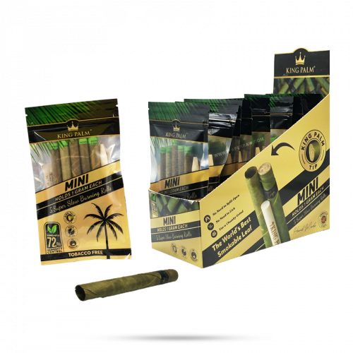 كنج بالم ميني