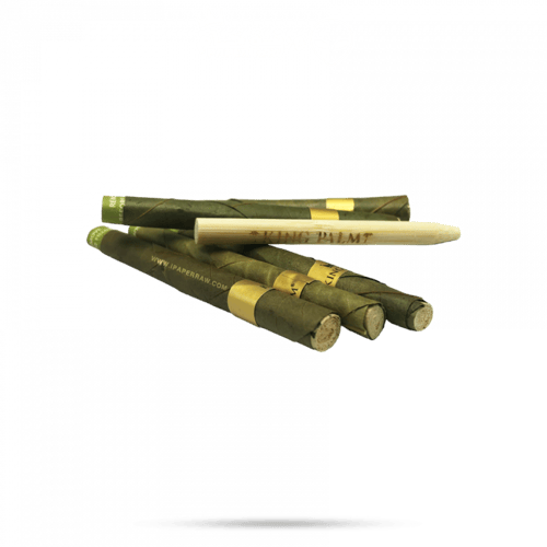 كنج بالم اناناس