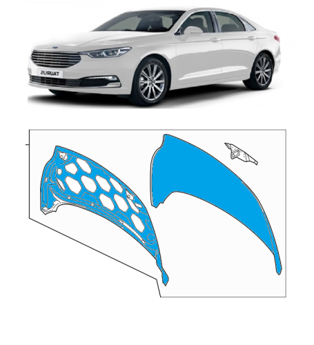 كبوت تورس 22/20⭐⭐⭐