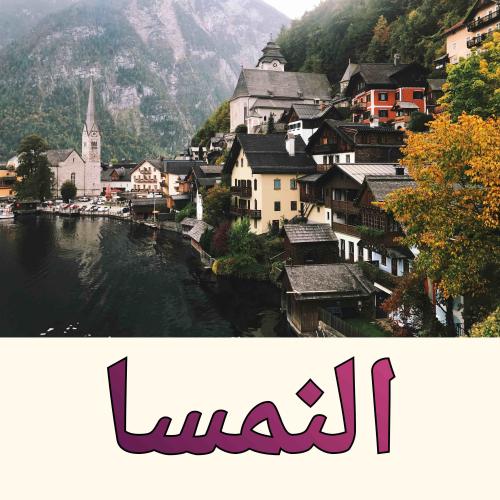 بكج النمسا جاهز