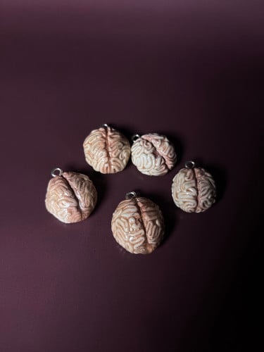 Human Brain