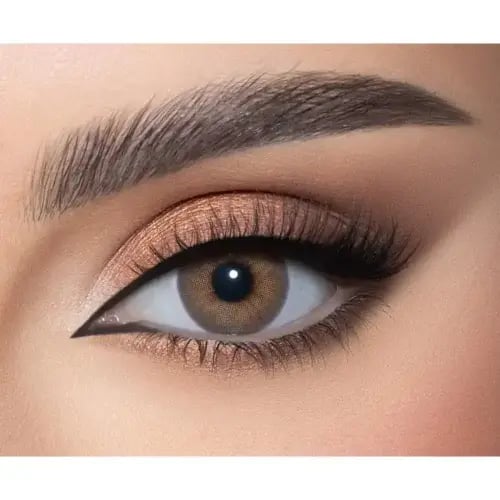 عدسات ذهب اليومية كاف