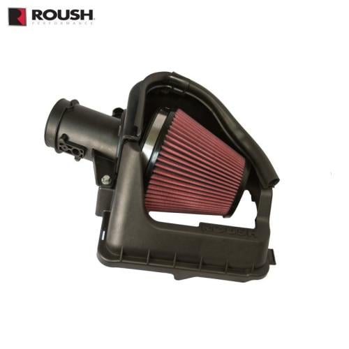 Roush Cold Air Intake 421641 F150 V6 3.5L EcoBoost...
