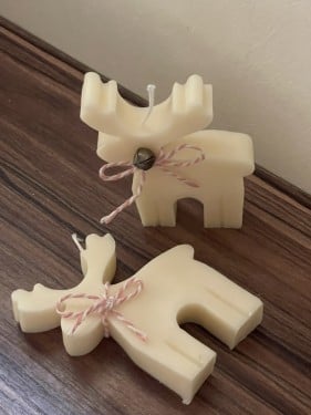 حصان الثلج
