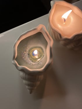 القوقعه لون اخضر