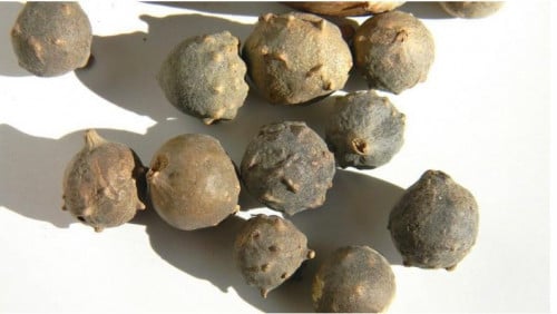 عفص درجه اولى ربع كيلو