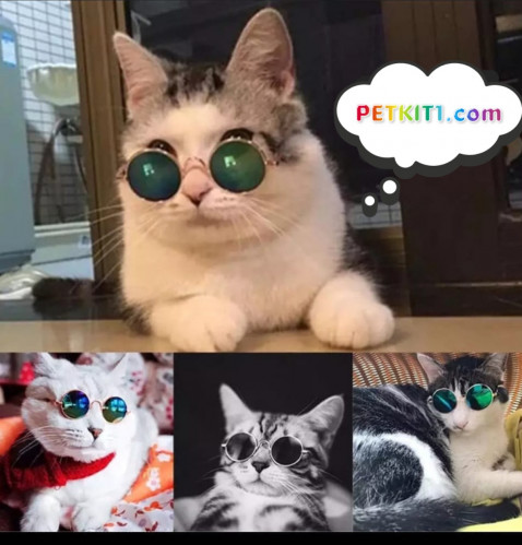 نظارة شمسية للقطط والكلاب