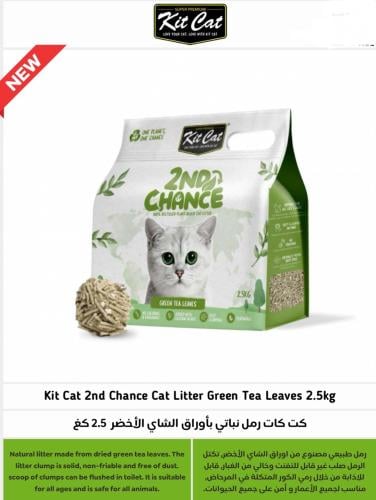كت كات رمل نباتي من ألیاف البازلاء/أوراق الشاي الأ...