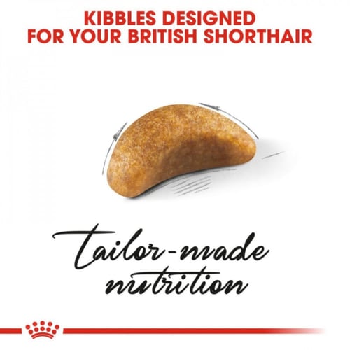 رويال كانين برتش شورت هير للقطط للكتن 2كيلو