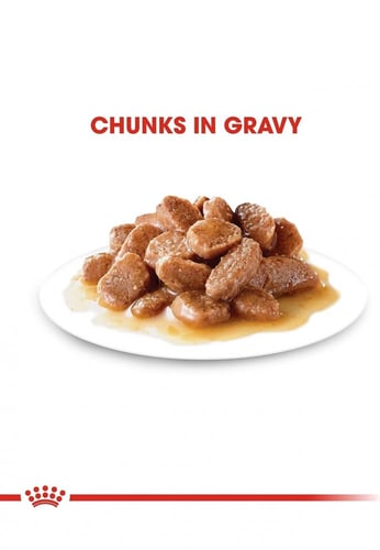 رويال كانين-تريت للهضم الحساس 85g