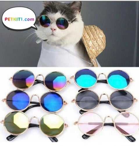 نظارة شمسية للقطط والكلاب