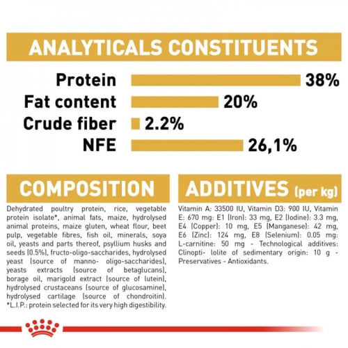 رويال كانين برتش شورت هير للقطط للكتن 2كيلو