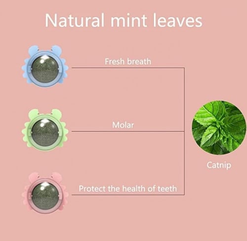 حلاوة كاتنيب للقطط