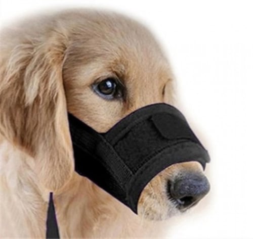 كمامة للكلاب