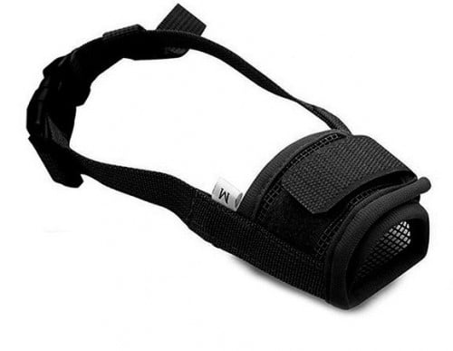 كمامة للكلاب