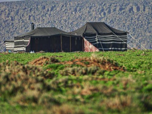 إلتقاطة المصوّر عبد المجيد