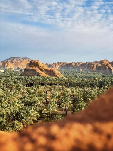 إلتقاطة المصوّر عبد المجيد