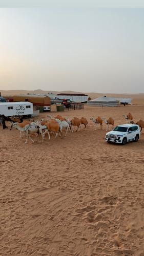 إلتقاطة المصوّر نايف العتيبي
