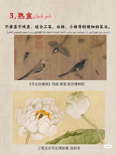 ورق الأرز 宣纸