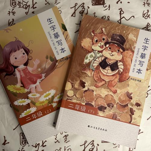 كتب تعليم كتابة الرموز الصينية للمبتدئين