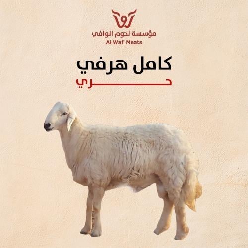 حري هارفي كامل