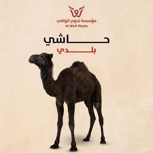 حاشي (ربع)